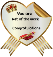 a pet of the week award